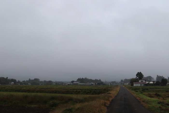 11月7日(水)　AM 7:39　前橋市苗ケ島町