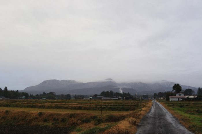 12月12日(水)　AM 7:31　前橋市苗ケ島町