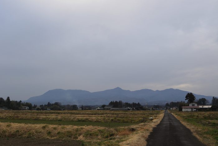 3月21日(木)　AM 8:04　前橋市苗ケ島町