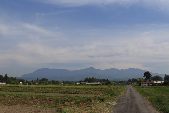 5月11日(土)　AM 8:44　前橋市苗ケ島町