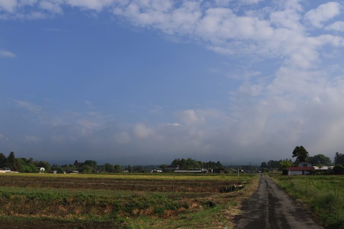 5月15日(水)　AM 7:36　前橋市苗ケ島町