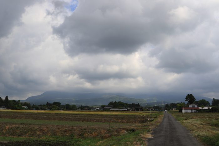 5月19日(日)　AM 8:31　前橋市苗ケ島町