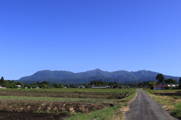 5月30日(木)　AM 7:40　前橋市苗ケ島町