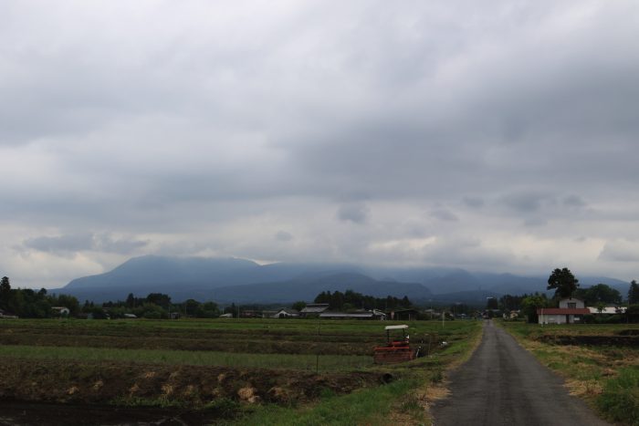 5月31日(金)　AM 7:37　前橋市苗ケ島町