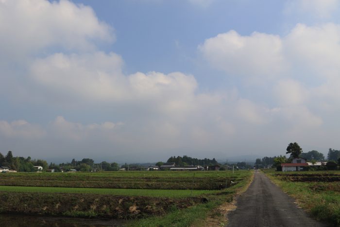 6月3日(月)　AM 7:31　前橋市苗ケ島町