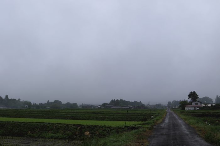 6月10日(月)　AM 7:40　前橋市苗ケ島町