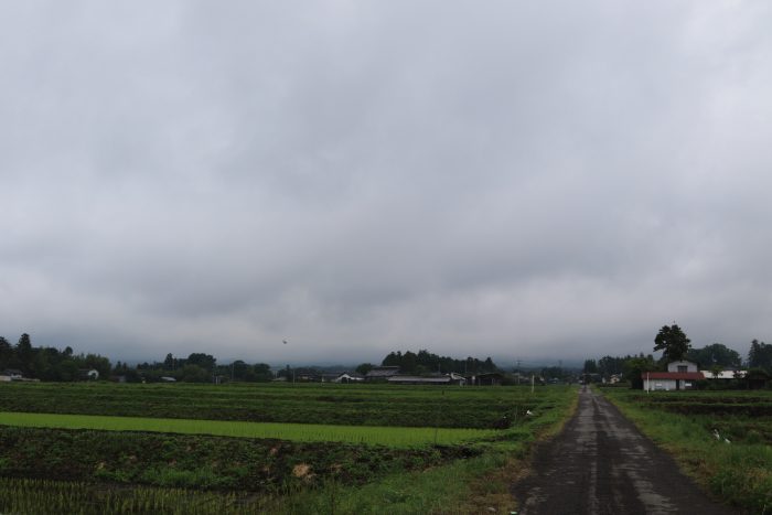 6月11日(火)　AM 7:40　前橋市苗ケ島町