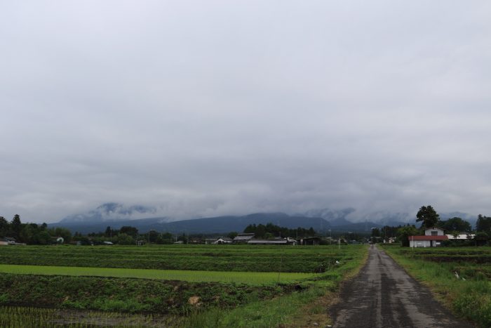 6月12日(水)　AM 7:34　前橋市苗ケ島町