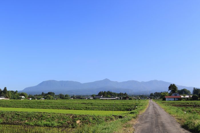 6月13日(木)　AM 7:43　前橋市苗ケ島町