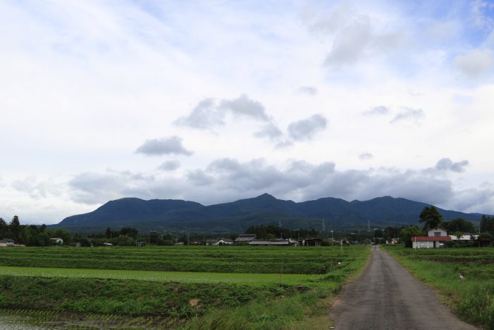 6月7日(金)　AM 7:37　前橋市苗ケ島町