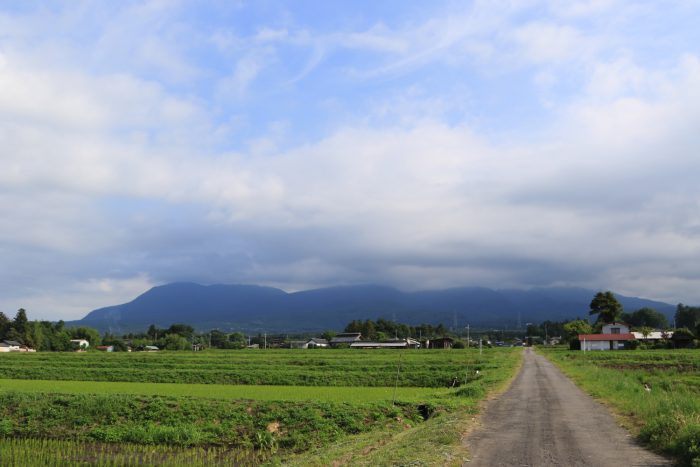 6月18日(火)　AM 7:41　前橋市苗ケ島町