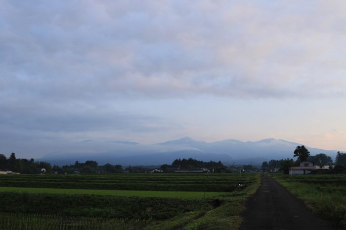 6月19日(水)　AM 5:17　前橋市苗ケ島町