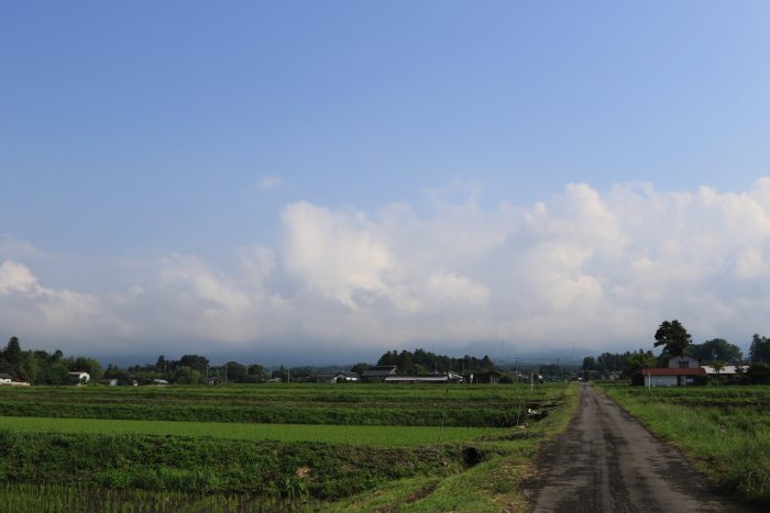 6月20日(木)　AM 7:38　前橋市苗ケ島町