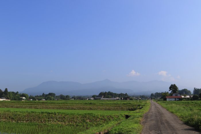 6月26日(水)　AM 7:42　前橋市苗ケ島町