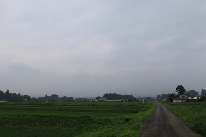 7月3日(水)　AM 7:37　前橋市苗ケ島町