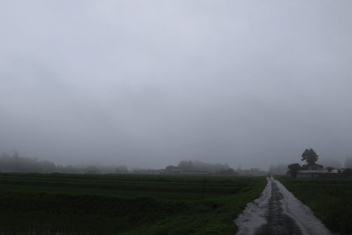 7月4日(木)　AM 7:38　前橋市苗ケ島町