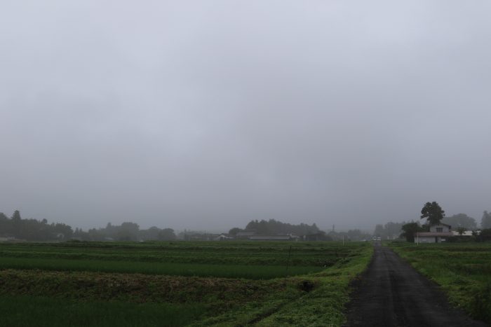 7月10日(水)　AM 7:44　前橋市苗ケ島町