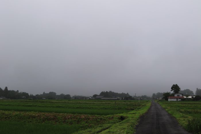 7月12日(金)　AM 7:38　前橋市苗ケ島町