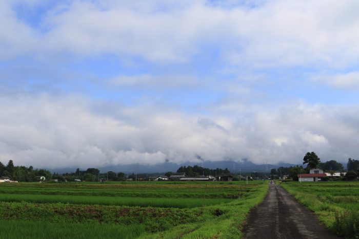 7月17日(水)　AM 7:41　前橋市苗ケ島町