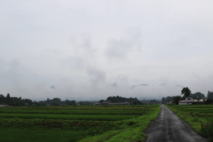 7月19日(金)　AM 7:41　前橋市苗ケ島町