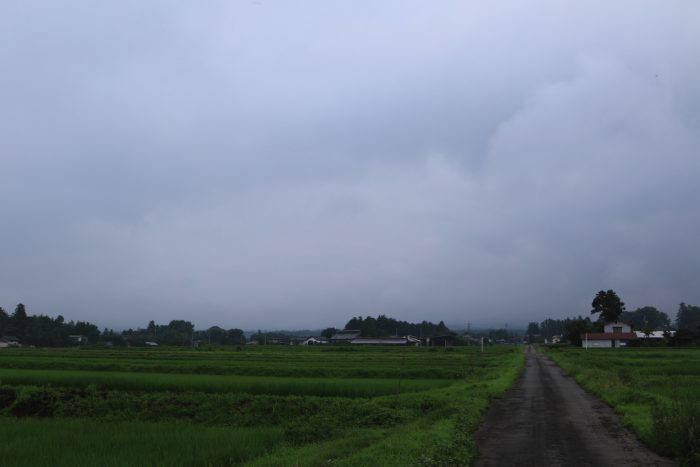 7月25日(木)　AM 7:21　前橋市苗ケ島町