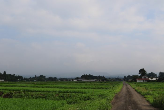 7月26日(金)　AM 7:38　前橋市苗ケ島町