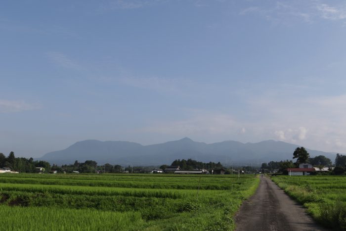 7月29日(月)　AM 7:37　前橋市苗ケ島町