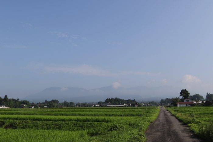 7月30日(火)　AM 7:36　前橋市苗ケ島町