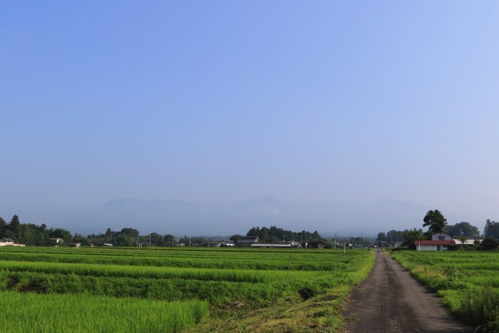 7月31日(水)　AM 7:41　前橋市苗ケ島町