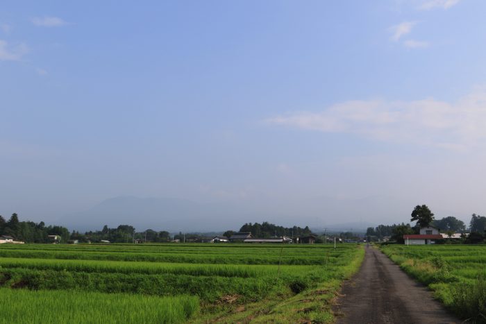 8月1日(木)　AM 7:37　前橋市苗ケ島町