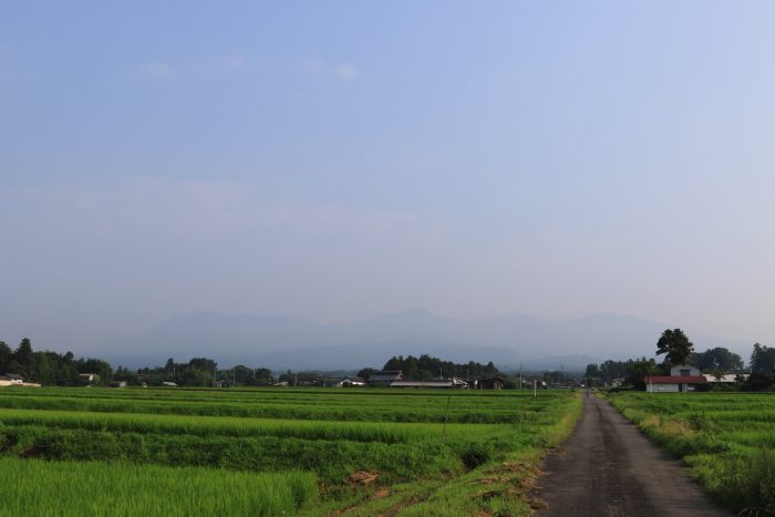 8月2日(金)　AM 7:26　前橋市苗ケ島町