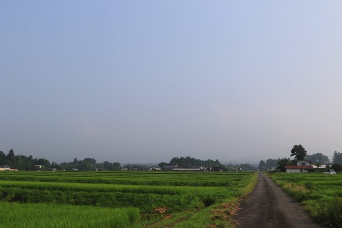 8月3日(土)　AM 7:23　前橋市苗ケ島町