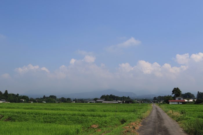 8月4日(日)　AM 9:58　前橋市苗ケ島町