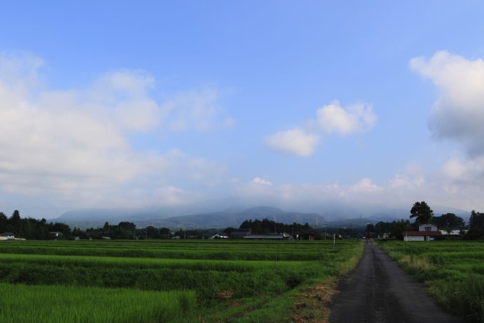 8月5日(月)　AM 7:31　前橋市苗ケ島町