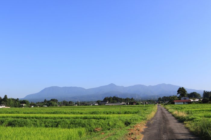 8月6日(火)　AM 7:23　前橋市苗ケ島町