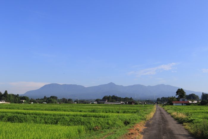 8月8日(木)　AM 7:40　前橋市苗ケ島町