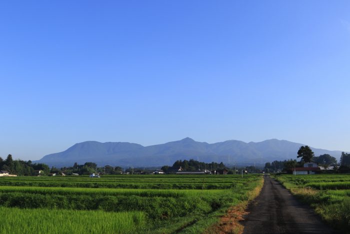 8月9日(金)　AM 6:38　前橋市苗ケ島町