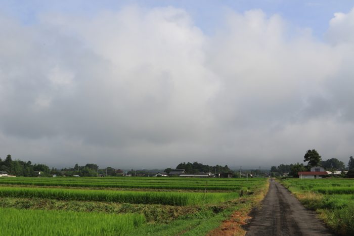 8月12日(月)　AM 7:46　前橋市苗ケ島町