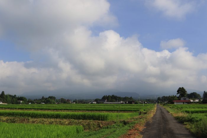 8月13日(火)　AM 7:31　前橋市苗ケ島町