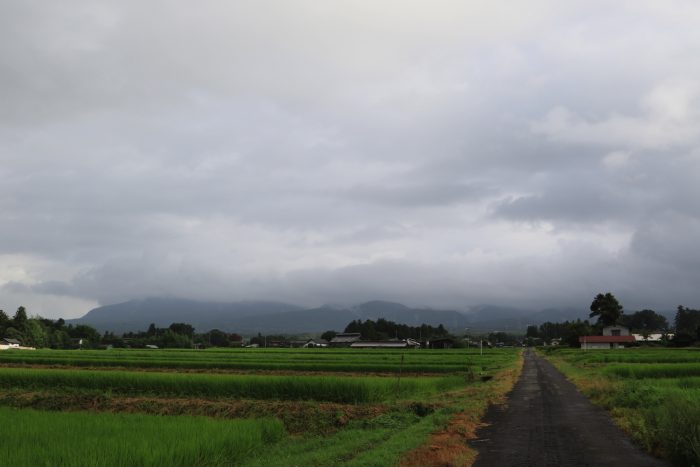 8月14日(水)　AM 7:31　前橋市苗ケ島町