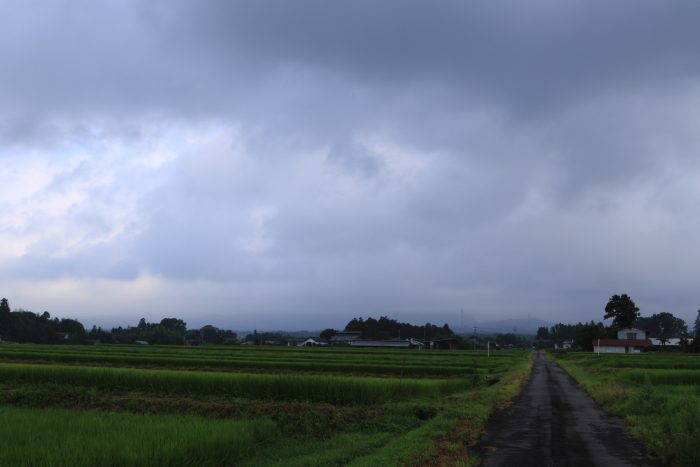 8月15日(木)　AM 7:34　前橋市苗ケ島町