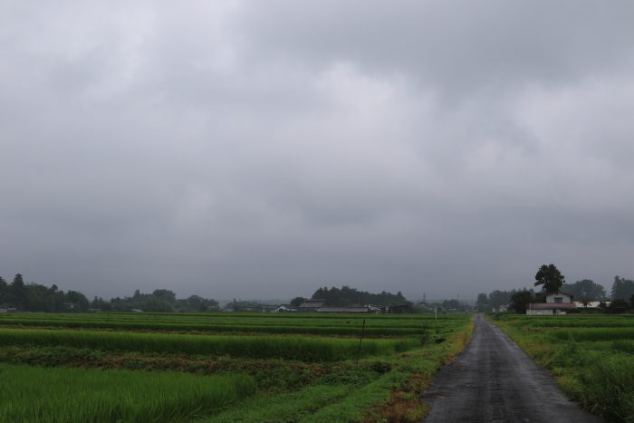 8月16日(金)　AM 7:39　前橋市苗ケ島町