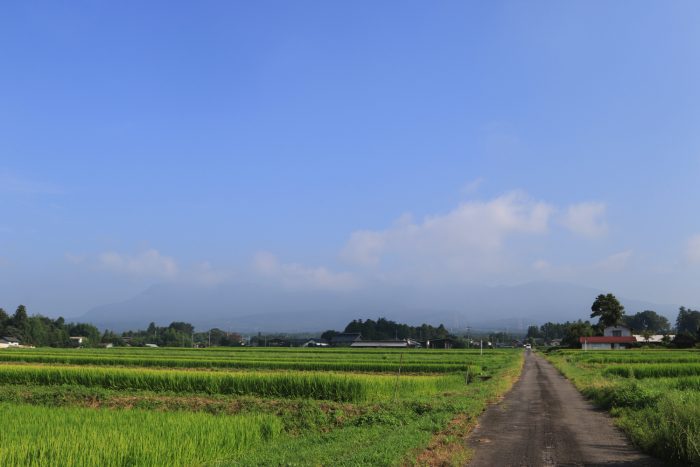 8月17日(土)　AM 7:58　前橋市苗ケ島町