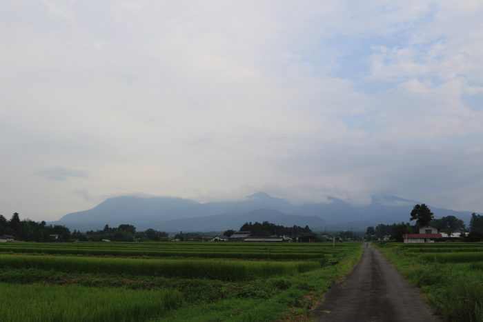 8月19日(月)　AM 7:24　前橋市苗ケ島町