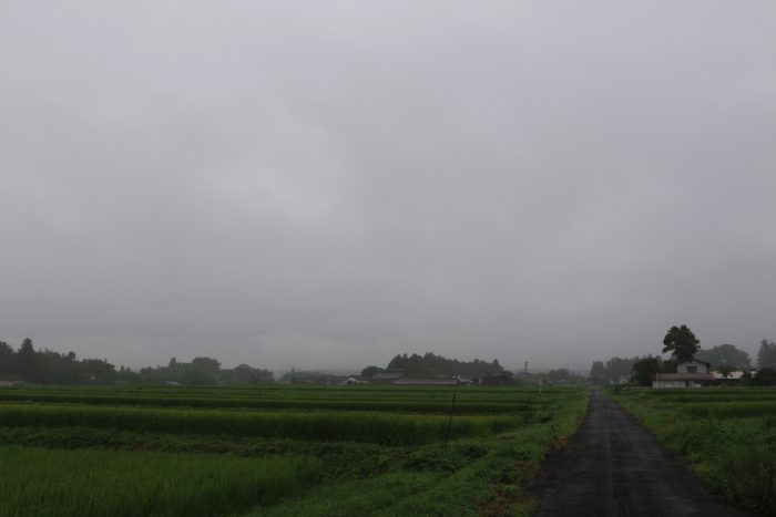 8月20日(火)　AM 7:42　前橋市苗ケ島町