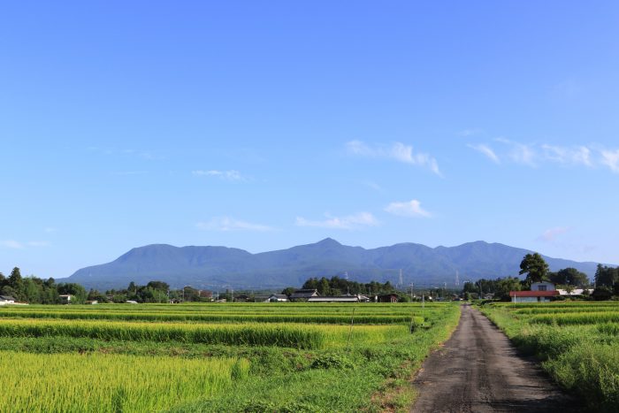 8月21日(水)　AM 7:34　前橋市苗ケ島町