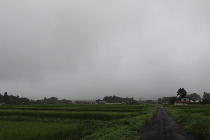 8月22日(木)　AM 7:38　前橋市苗ケ島町