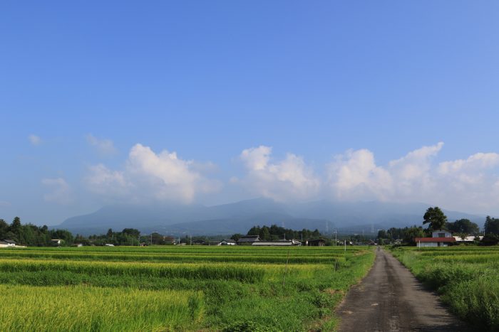 8月25日(日)　AM 8:13　前橋市苗ケ島町