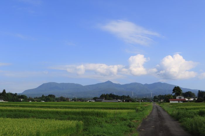 8月26日(月)　AM 8:03　前橋市苗ケ島町