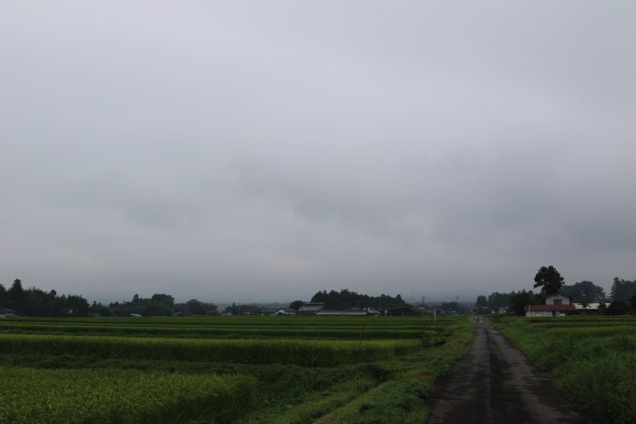 8月28日(水)　AM 8:51　前橋市苗ケ島町